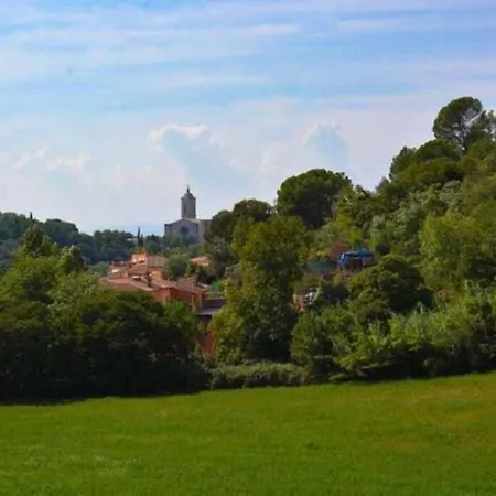 Feliu, Masia Stone House, And Ground-floor Apartment, Sant Daniel-girona Apartman *